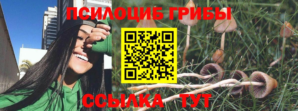 Псилоцибиновые грибы ЛСД Калуга