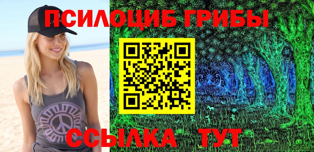 Псилоцибиновые грибы мухоморы  Вход с VPN  даркнет сайт  Калуга 